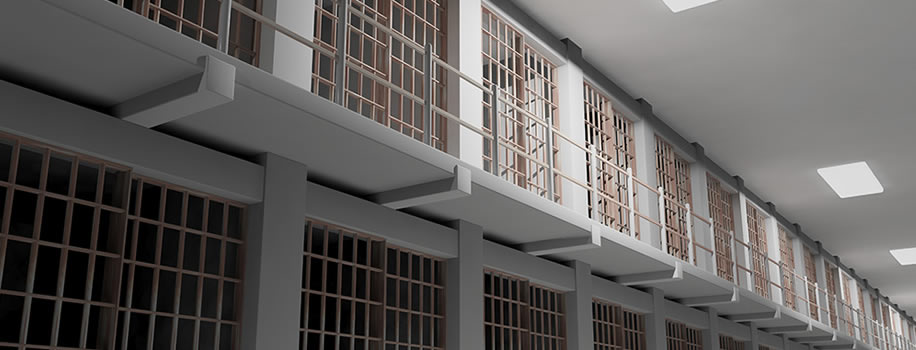 Security Solutions for Correctional Facility liberty hill, TX